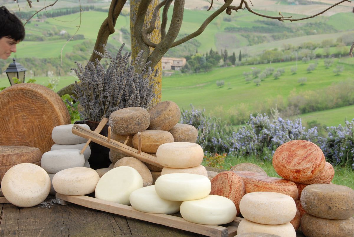 Udvalg af Pecorino di Pienza oste med bølgende landskab i baggrunden.